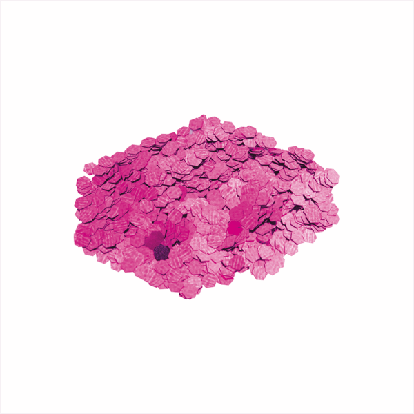 Escarcha Gruesa 50 g. 6 Colores Neón