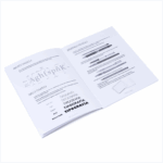 Set Lettering y Caligrafía Intermedio