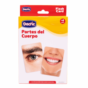 Lámina Partes del Cuerpo
