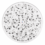 Yo lo vi! Black & White - Juego de mesa